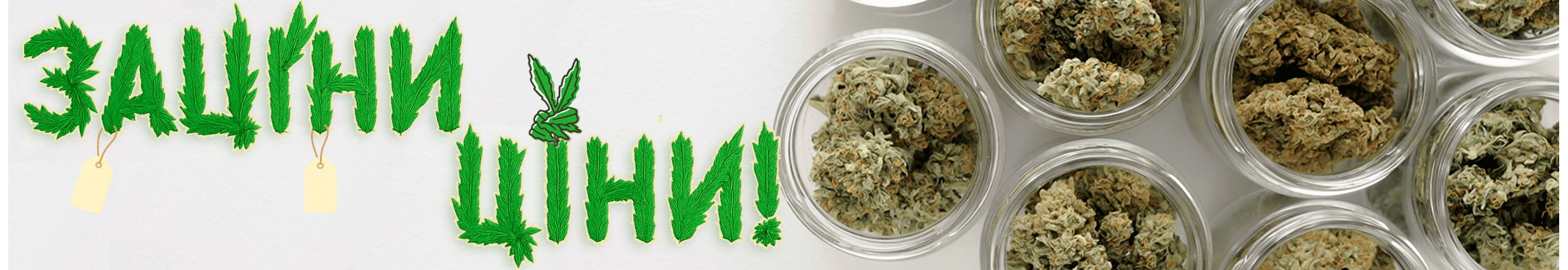 Заціни ці ціни